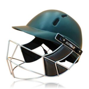Cricket Helmet